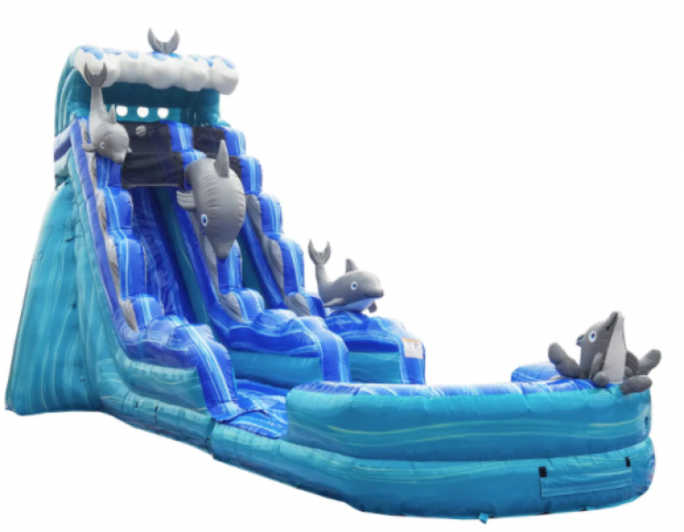 22' Dolphin Plunge Water Slide w/XL Pool (Wet/Dry )