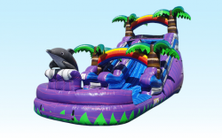 1620ft20Purple20Dolphin202 1682966418 16 ft. Purple Dolphin Island w/Large Pool