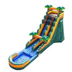 Tropical Palms Water Slide w/XL Pool (Wet/Dry)