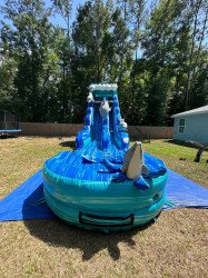 IMG 20240503 WA0002 1714963916 Dolphin Plunge Water Slide w/XL Pool (Wet/Dry )