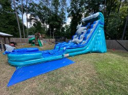 IMG 20240503 WA0004 1714963916 Dolphin Plunge Water Slide w/XL Pool (Wet/Dry )