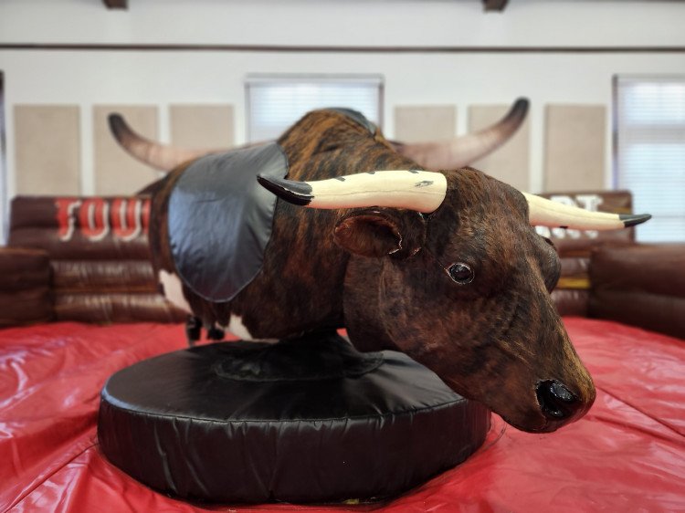 Mechanical Bull Rental