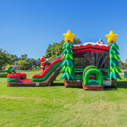 WEB3 20b299dd 9c57 4605 b661 9965e357eb82 1761281173 Christmas Tree Dual Lane Slide