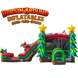 Christmas Tree Dual Lane Slide